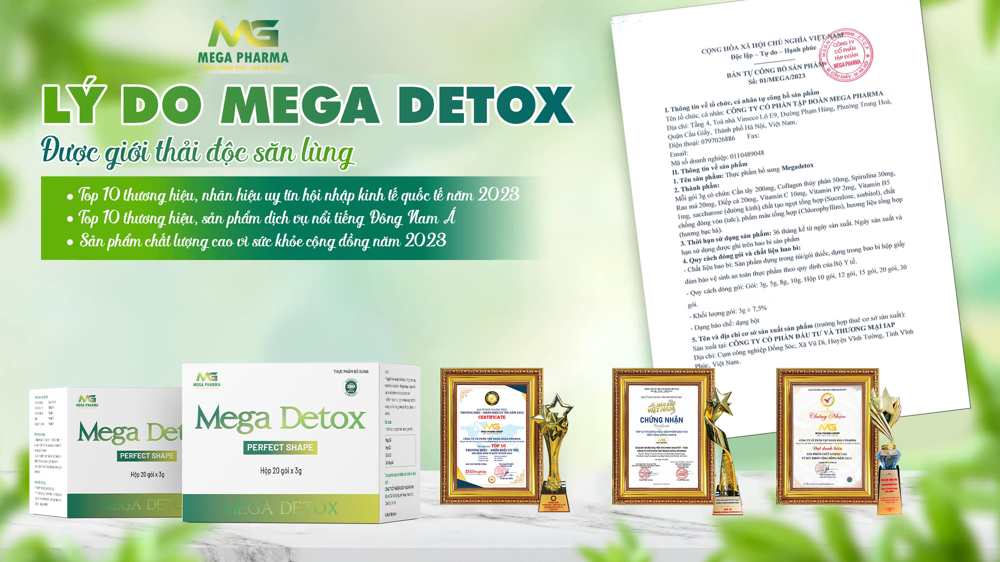 LÝ DO MEGA DETOX ĐƯỢC GIỚI THẢI ĐỘC SĂN LÙNG